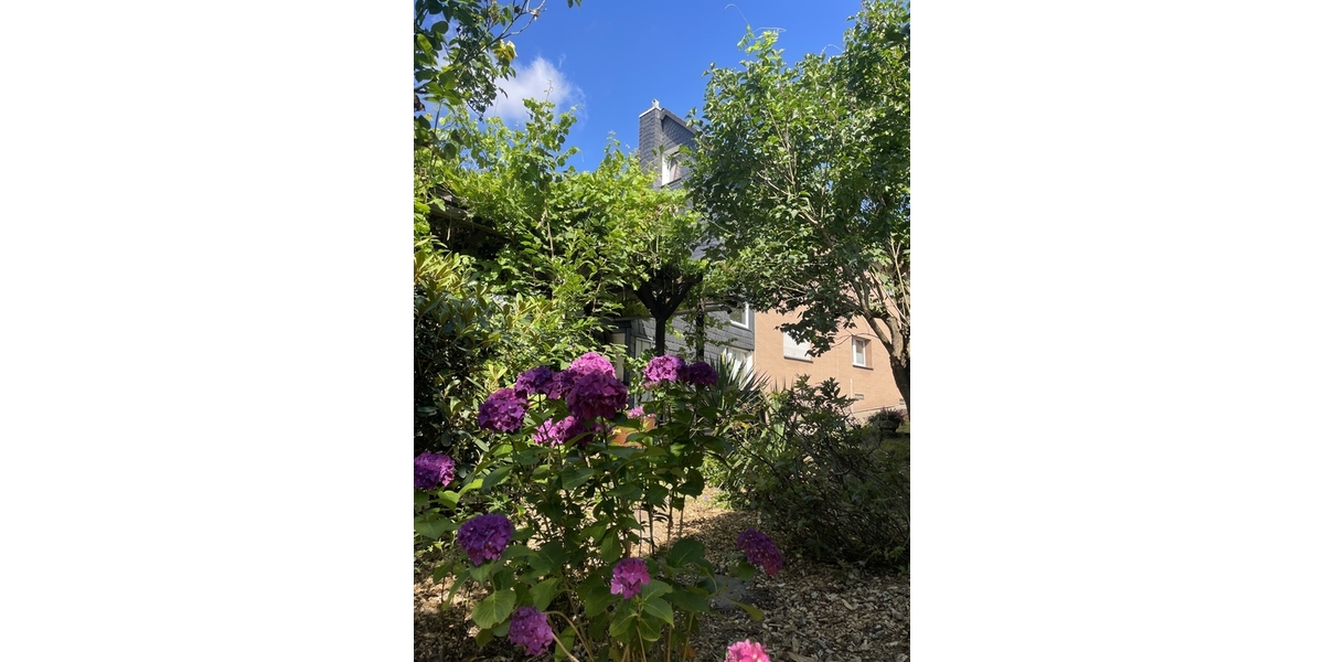 Sommerbild
